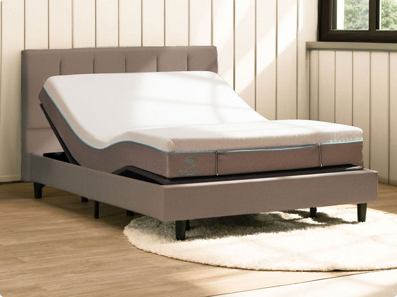 Base ajustable Bloom Essential